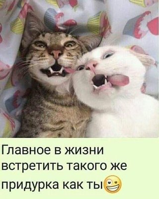 01CBFAC8-6A86-427B-8C0A-783642D0095C.jpeg