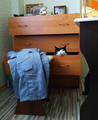 IMG_20190131_101827-01.jpeg