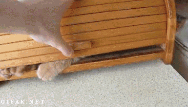 Bolshoy_prikol.gif