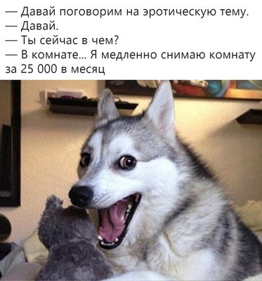 MS451WM6IYs.jpg