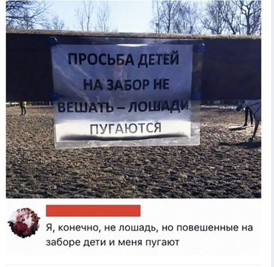 12693405.jpg