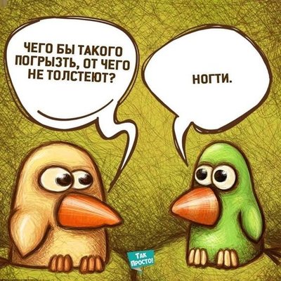 kTZJe5qd9Qc.jpg
