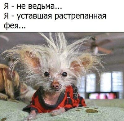 2HdJgzVx1so.jpg