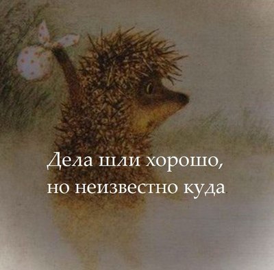 OEtLydWzvQE.jpg