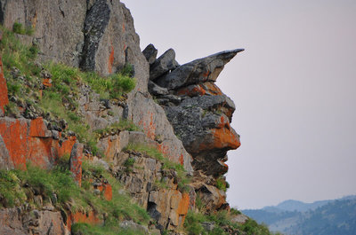 DSC_6624.jpg