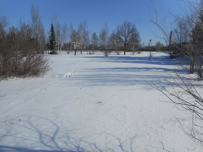 DSCN1170.JPG