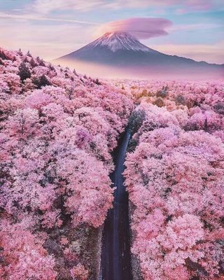 1 (3).jpg