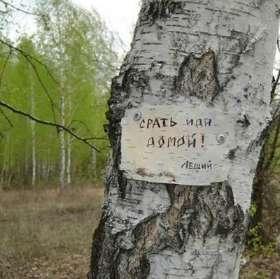 1557080993150997885.jpg