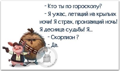 BGJJNr2ZHd8.jpg