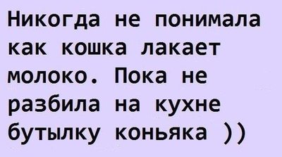 лакать.jpg