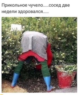 9RLS_GzAwJ8.jpg