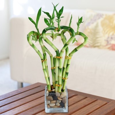 20180505171448PicURL.jpg
