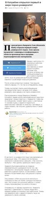 колумбия-страны-прон-Образование-5288038.jpeg
