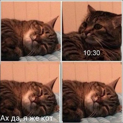ijvi5ludv6inadkpgmg8sfady.jpg