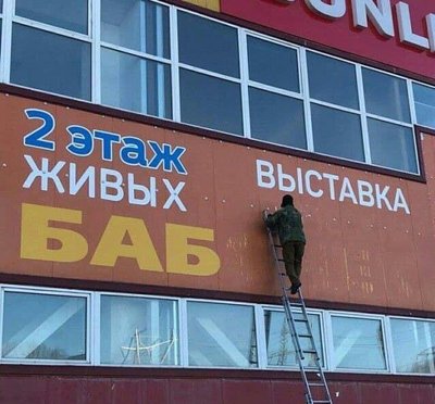 l_5e_YCDSoY.jpg