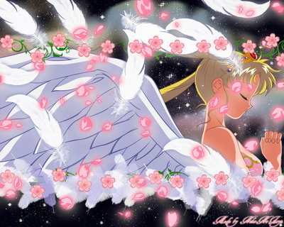 pretty_soldier_sailor_moon_super_s15.jpg