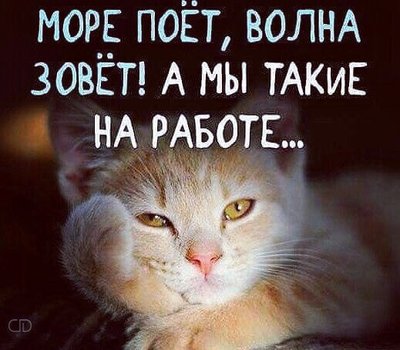 море зовёт.jpg