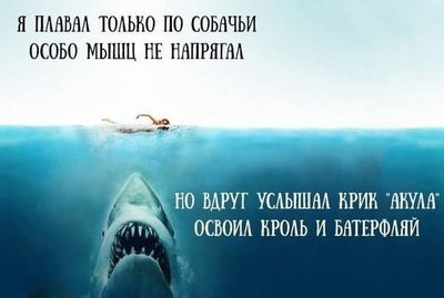 кроль.jpg