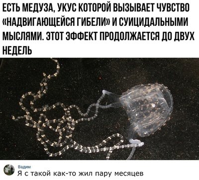 скриншоты-комментарии-Буквы-на-белом-фоне-5338633.jpeg