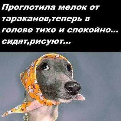 A8257EE0-42DE-4B26-8D16-990B9856A875.jpeg