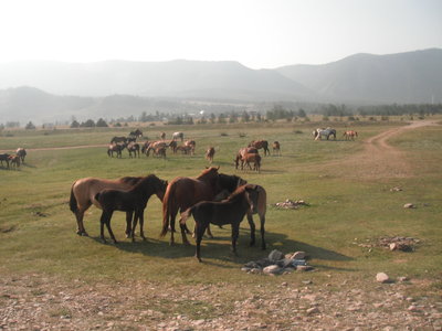 DSCF5068.JPG
