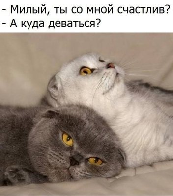 2NDFwTsv-QE.jpg