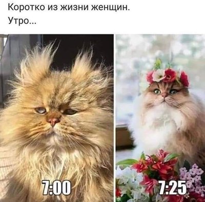 morning_1.jpg