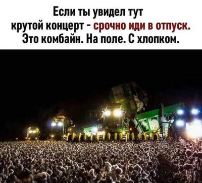 tKk337eP4I0.jpg