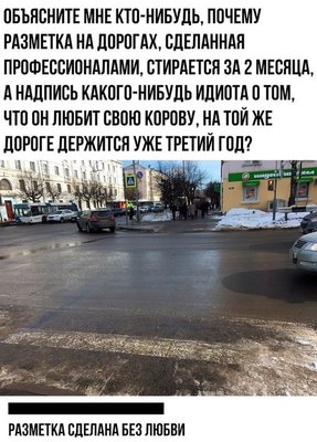 дорога-корова-любовь-отношения-5431692.jpeg