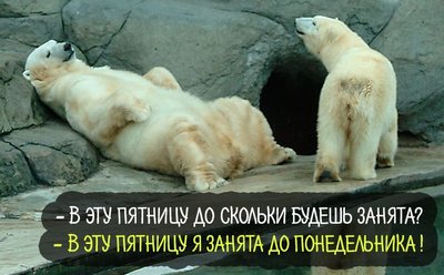 1FB542BF-46F5-49D2-A55C-AF2FD6516651.jpeg