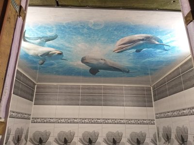 20190928_182533[1].jpg