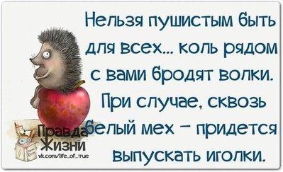 95804294e181308dba3d419ce53594a2.jpg