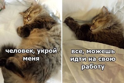 kat_01.jpg