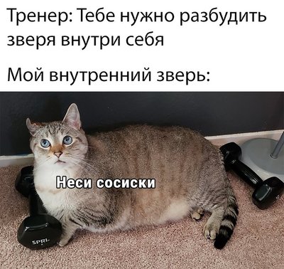 зверь.jpg