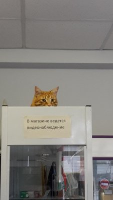 3QO9ckpsfLk.jpg