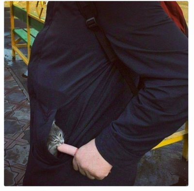 Когда вдруг решил покормить своих внутренних демонов.jpg