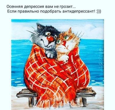 jo6L6bgsNbk.jpg