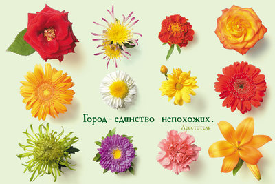 Город - единство непохожих.jpg