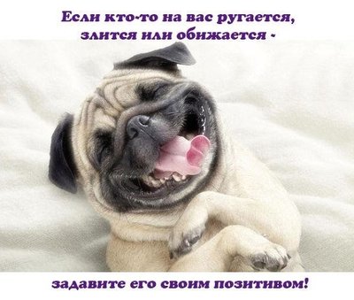 33qNkINZMO0.jpg