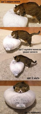 кот-тюлень-инструкция-шакалы-5590557.jpeg
