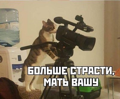 Приколы-для-даунов-разное-5665720.jpeg